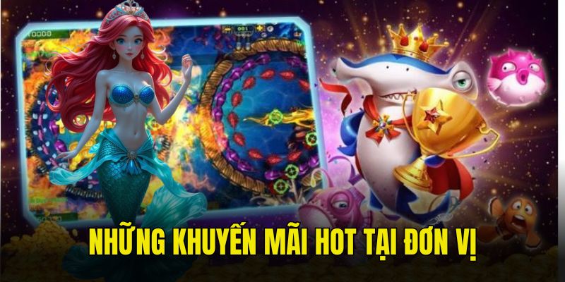 Hệ thống cung cấp đa dạng sự kiện khuyến mãi lớn