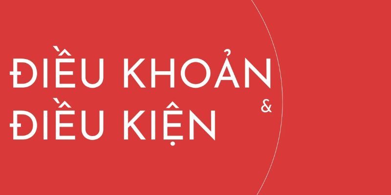 Sơ lược điều khoản điều kiện